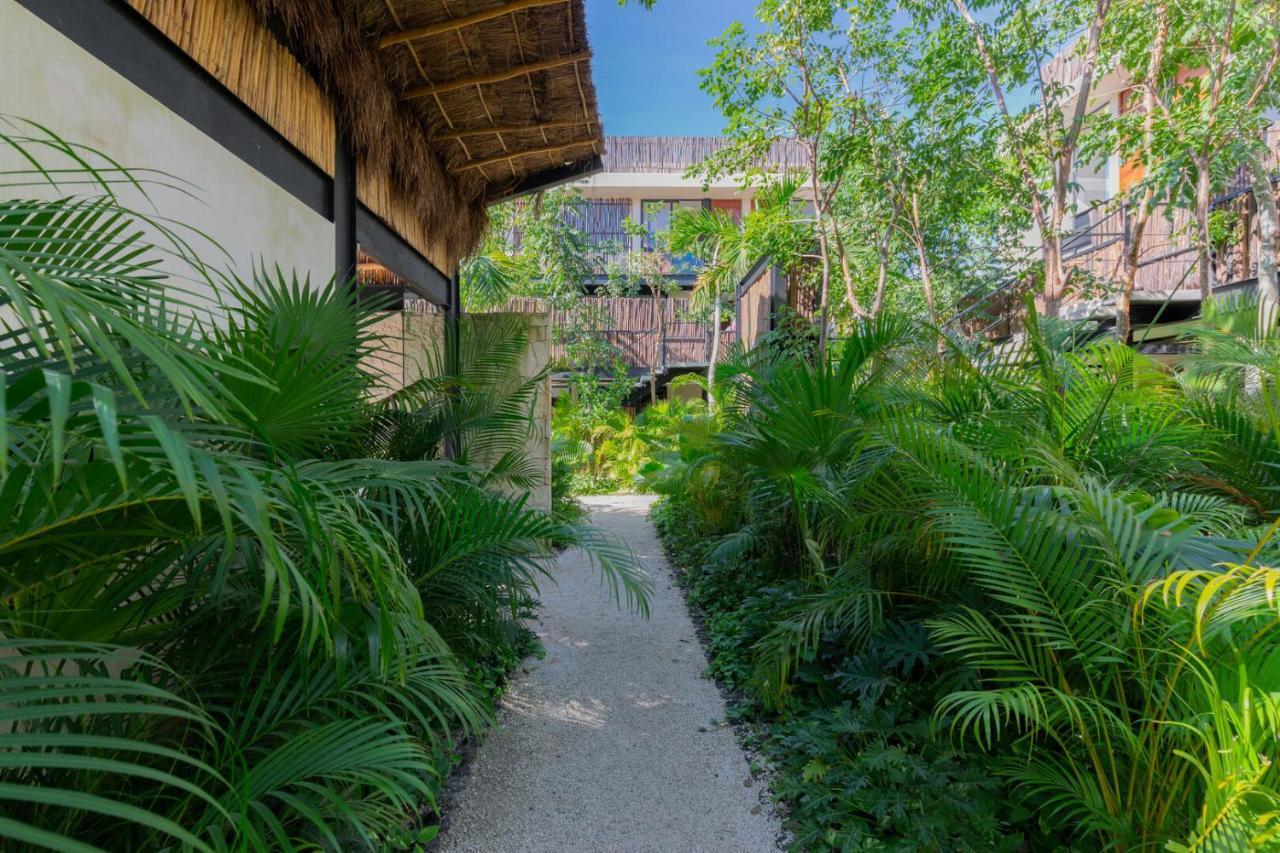 Elegant And Tropical In Private Gated Community In Aldea Zama Apartment